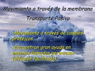 Movimiento a través de la membrana Transporte Pasivo Movimiento a través de canales proteicos Encuentran gran ayuda en enzimas llamadas permeasas (difusión facilitada). 
