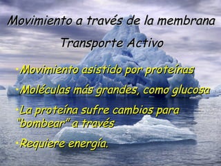 Movimiento a través de la membrana Transporte Activo Movimiento asistido por proteínas Moléculas más grandes, como glucosa La proteína sufre cambios para “bombear” a través Requiere energía. 