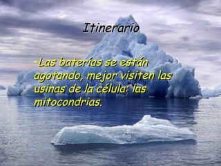 Itinerario Las baterías se están agotando, mejor visiten las usinas de la célula: las mitocondrias. 