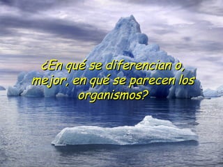 ¿En qué se diferencian o, mejor, en qué se parecen los organismos? 