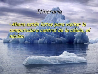 Itinerario Ahora están listos para visitar la computadora central de la célula, el núcleo. 