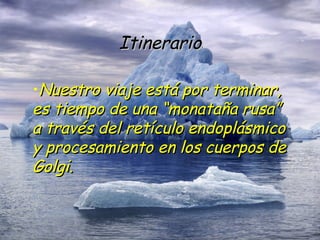Itinerario Nuestro viaje está por terminar, es tiempo de una “monataña rusa” a través del retículo endoplásmico y procesamiento en los cuerpos de Golgi. 