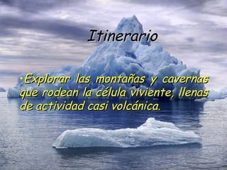Itinerario Explorar las montañas y cavernas que rodean la célula viviente, llenas de actividad casi volcánica. 