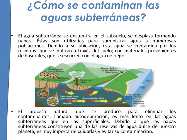 que es la tasa de metabolismo basal simptoms