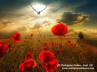 (P) Rodríguez Peláez, José CS
www.rodriguezpelaezcs.org
 