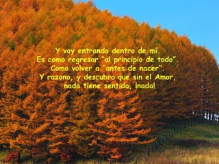 Y voy entrando dentro de mí.
Es como regresar “al principio de todo”.
Como volver a “antes de nacer”.
Y razono, y descubro que sin el Amor,
nada tiene sentido, ¡nada!
 