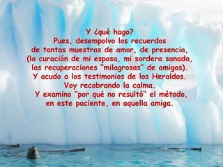 Y ¿qué hago?
Pues, desempolvo los recuerdos
de tantas muestras de amor, de presencia,
(la curación de mi esposa, mi sordera sanada,
las recuperaciones “milagrosas” de amigos).
Y acudo a los testimonios de los Heraldos.
Voy recobrando la calma.
Y examino “por qué no resultó” el método,
en este paciente, en aquella amiga.
 
