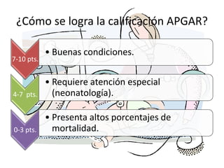 ¿Cómo se logra la calificación APGAR?

            • Buenas condiciones.
7-10 pts.


            • Requiere atención especial
4-7 pts.      (neonatología).

            • Presenta altos porcentajes de
0-3 pts.      mortalidad.
 