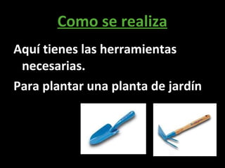 Como se realiza Aquí tienes las herramientas necesarias. Para plantar una planta de jardín 