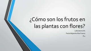 ¿Cómo son los frutos en
las plantas con flores?
Laboratorio #1
Paula Alejandra Rúa Franco
8-4
 