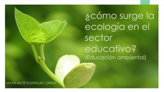 ¿cómo surge la
ecología en el
sector
educativo?
(Educación ambiental)

MAYEL NICTÉ RODRÍGUEZ LORENA

 