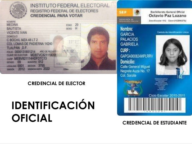 formatos de credenciales en word