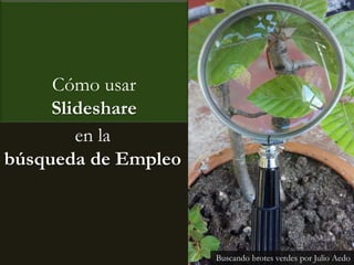 Cómo usar
Slideshare
Buscando brotes verdes por Julio Aedo
en la
búsqueda de Empleo
 