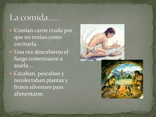  Comían carne cruda por
que no tenían como
cocinarla.
Una vez descubierto el
fuego comenzaron a
asarla….
Cazaban, pescaban y
recolectaban plantas y
frutos silvestres para
alimentarse.