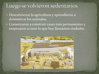  Descubrieron la agricultura y aprendieron a
domesticar los animales.
Comenzaron a construir casas más permanentes y
empezaron a crear lo que hoy llamamos ciudades.