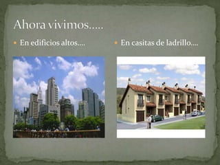  En edificios altos…. En casitas de ladrillo….