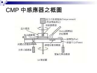 CMP 中感應器之概圖
 