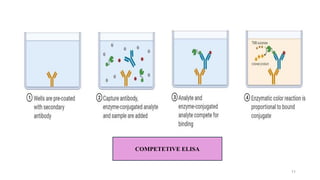 COMPETETIVE ELISA
11
 