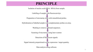 PRINCIPLE
Isolation of nucleic acid (DNA / RNA) from sample.
Labelling of sample with fluorescent dye.
Preparation of microarray slide with immobilized probes.
Hybridization of labelled sample with complementary probes on array.
Washing to remove unbound sequences.
Scanning of microarray using laser scanner.
Detection of fluorescent signals.
Signal intensity proportional to gene expression / target quantity.
Data analysis using software.
17
 