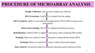 PROCEDURE OF MICROARRAYANALYSIS
Sample Collection: Cells or tissue samples are collected.
RNA Extraction: Total RNA is isolated from the sample.
cDNA Synthesis: mRNA is converted into complementary DNA (cDNA) using reverse
transcription.
Fluorescent Labeling: The cDNA is labeled with fluorescent dyes.
Hybridization: Labeled cDNA is applied to microarray slides containing DNA probes.
Washing: Slides are washed to remove unbound or nonspecifically bound cDNA.
Scanning: Slides are scanned with a laser to detect fluorescent signals.
Data Analysis: Fluorescence data are analyzed to determine gene expression levels.
18
 