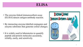 ELISA
• The enzyme-linked immunosorbent assay
(ELISA) detects antigen-antibody reaction.
• By interacting enzyme-labelled conjugates and
enzyme substrates that generate colour changes.
• It is widely used in laboratories to quantify
peptide and protein molecules accurately,
reliably, easily, and sensitively.
3
 