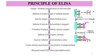 PRINCIPLE OF ELISA
Antigen / Antibody immobilization on microtiter plate
Addition of sample (antigen or antibody present)
Specific antigen–antibody binding occurs
Addition of enzyme-linked antibody (conjugate)
Formation of antigen–antibody–enzyme complex
Addition of chromogenic substrate
Enzyme–substrate reaction produces colour
Colour intensity proportional to concentration of antigen/antibody
Measured using ELISA reader (spectrophotometer)
4
 