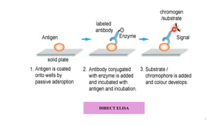 DIRECT ELISA
7
 