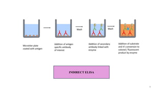 INDIRECT ELISA
9
 