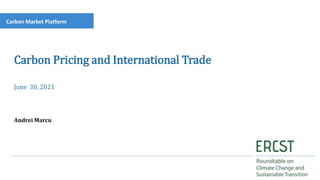 Andrei Marcu
June 30, 2021
Carbon Pricing and International Trade
Carbon Market Platform
 