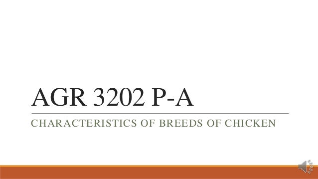 AGR 3202 P-A
CHARACTERISTICS OF BREEDS OF CHICKEN
 