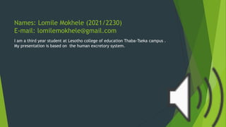 Names: Lomile Mokhele (2021/2230)
E-mail: lomilemokhele@gmail.com
I am a third year student at Lesotho college of education Thaba-Tseka campus .
My presentation is based on the human excretory system.
 