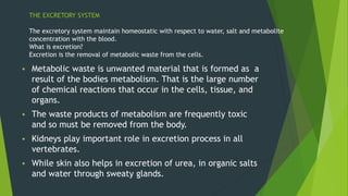 THE EXCRETORY SYSTEM
The excretory system maintain homeostatic with respect to water, salt and metabolite
concentration with the blood.
What is excretion?
Excretion is the removal of metabolic waste from the cells.
 Metabolic waste is unwanted material that is formed as a
result of the bodies metabolism. That is the large number
of chemical reactions that occur in the cells, tissue, and
organs.
 The waste products of metabolism are frequently toxic
and so must be removed from the body.
 Kidneys play important role in excretion process in all
vertebrates.
 While skin also helps in excretion of urea, in organic salts
and water through sweaty glands.
 