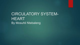 CIRCULATORY SYSTEM-
HEART
By Mosuhli Ntebaleng
 