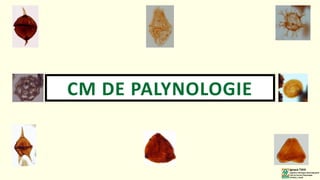 CM DE PALYNOLOGIE
Ignace TAHI
Ingénieur Géologue Biostratigraphe
Chef de Service Palynologie
PETROCI / DCAR
 