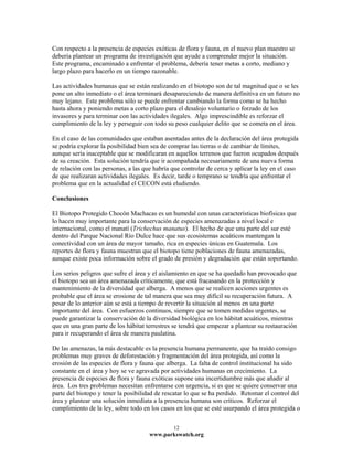 Con respecto a la presencia de especies exóticas de flora y fauna, en el nuevo plan maestro se
debería plantear un programa de investigación que ayude a comprender mejor la situación.
Este programa, encaminado a enfrentar el problema, debería tener metas a corto, mediano y
largo plazo para hacerlo en un tiempo razonable.

Las actividades humanas que se están realizando en el biotopo son de tal magnitud que o se les
pone un alto inmediato o el área terminará desapareciendo de manera definitiva en un futuro no
muy lejano. Este problema sólo se puede enfrentar cambiando la forma como se ha hecho
hasta ahora y poniendo metas a corto plazo para el desalojo voluntario o forzado de los
invasores y para terminar con las actividades ilegales. Algo imprescindible es reforzar el
cumplimiento de la ley y perseguir con todo su peso cualquier delito que se cometa en el área.

En el caso de las comunidades que estaban asentadas antes de la declaración del área protegida
se podría explorar la posibilidad bien sea de comprar las tierras o de cambiar de límites,
aunque sería inaceptable que se modificaran en aquellos terrenos que fueron ocupados después
de su creación. Esta solución tendría que ir acompañada necesariamente de una nueva forma
de relación con las personas, a las que habría que controlar de cerca y aplicar la ley en el caso
de que realizaran actividades ilegales. Es decir, tarde o temprano se tendría que enfrentar el
problema que en la actualidad el CECON está eludiendo.

Conclusiones

El Biotopo Protegido Chocón Machacas es un humedal con unas características biofísicas que
lo hacen muy importante para la conservación de especies amenazadas a nivel local e
internacional, como el manatí (Trichechus manatus). El hecho de que una parte del sur esté
dentro del Parque Nacional Río Dulce hace que sus ecosistemas acuáticos mantengan la
conectividad con un área de mayor tamaño, rica en especies únicas en Guatemala. Los
reportes de flora y fauna muestran que el biotopo tiene poblaciones de fauna amenazadas,
aunque existe poca información sobre el grado de presión y degradación que están soportando.

Los serios peligros que sufre el área y el aislamiento en que se ha quedado han provocado que
el biotopo sea un área amenazada críticamente, que está fracasando en la protección y
mantenimiento de la diversidad que alberga. A menos que se realicen acciones urgentes es
probable que el área se erosione de tal manera que sea muy difícil su recuperación futura. A
pesar de lo anterior aún se está a tiempo de revertir la situación al menos en una parte
importante del área. Con esfuerzos continuos, siempre que se tomen medidas urgentes, se
puede garantizar la conservación de la diversidad biológica en los hábitat acuáticos, mientras
que en una gran parte de los hábitat terrestres se tendrá que empezar a plantear su restauración
para ir recuperando el área de manera paulatina.

De las amenazas, la más destacable es la presencia humana permanente, que ha traído consigo
problemas muy graves de deforestación y fragmentación del área protegida, así como la
erosión de las especies de flora y fauna que alberga. La falta de control institucional ha sido
constante en el área y hoy se ve agravada por actividades humanas en crecimiento. La
presencia de especies de flora y fauna exóticas supone una incertidumbre más que añadir al
área. Los tres problemas necesitan enfrentarse con urgencia, si es que se quiere conservar una
parte del biotopo y tener la posibilidad de rescatar lo que se ha perdido. Retomar el control del
área y plantear una solución inmediata a la presencia humana son críticos. Reforzar el
cumplimiento de la ley, sobre todo en los casos en los que se esté usurpando el área protegida o

                                               12
                                      www.parkswatch.org
 