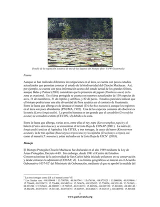 Detalle de la vegetación acuática de una de las lagunas del biotopo (foto © PW-Guatemala)

Fauna

Aunque se han realizado diferentes investigaciones en el área, se cuenta con pocos estudios
actualizados que permitan conocer el estado de la biodiversidad del Chocón Machacas. Así,
por ejemplo, se cuenta con poca información acerca del estado actual de los grandes felinos,
aunque Balas y Polisar (2001) consideran que la presencia de jaguar (Panthera onca) en la
zona es ocasional. En el área protegida se cuenta con reportes actualizados de 130 especies de
aves, 31 de mamíferos, 31 de reptiles y anfibios, y 82 de peces. Estudios parciales indican que
el biotopo podría tener una alta diversidad de flora acuática en el contexto de Guatemala.
Entre la fauna que alberga es de destacar el manatí (Trichechus manatus), aunque los registros
en el área son poco abundantes (PNUMA, 1995). Una de las especies comunes de observar es
la nutria (Lutra longicaudis). La presión humana es tan grande que el cocodrilo (Crocodylus
acutus) se considera extinto (CECON, sf) debido a la caza.

Entre la fauna que alberga, varias aves, entre ellas el rey zope (Sarcoramphus papa) y el
halcón (Falco deiroleucus), se encuentran el la Lista Roja de CONAP (2001). La nutria (L.
longicaudis) está en el Apéndice I de CITES, y tres tortugas, la casco de burro (Kinosternon
acutum), la de tres quillas (Staurotypus triporcatus) y la cajincha (Trachemys scripta), así
como el manatí (T. manatus), están incluidos en la Lista Roja de UICN1 (2003).

Manejo

El Biotopo Protegido Chocón Machacas fue declarado en el año 1989 mediante la Ley de
Áreas Protegidas, Decreto 4-89. Sin embargo, desde 1981 el Centro de Estudios
Conservacionistas de la universidad de San Carlos había iniciado esfuerzos en su conservación
y desde entonces la administra (CONAP, sf). Los límites geográficos se marcan en el Acuerdo
Gubernativo 1057-922 del Ministerio de Gobernación, mediante el que se aprobó la medida del



1
 Las tres tortugas como LR y el manatí como VU
2
  Los límites son: -88.830444 / 15.790709, -88.965744 / 15.676196, -88.973923 / 15.000000, -88.959846 /
15.726660, -88.953475 / 15.736404, -88.949516 / 15.749676, -88.952492 / 15.750054, -88.951149 / 15.765965, -
88.935280 / 15.765603, -88.900925 / 15.790935, -88.918159 / 15.802854, -88.883720 / 15.801009, -88.882149 /
15.802450, -88.891678 / 15.813343, -88.891678 / 15.820937, -88.848267 / 15.812817 y -88.840950 / 15.805268
                                                     5
                                          www.parkswatch.org
 