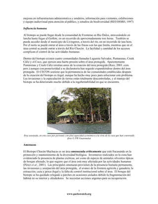mejoras en infraestructura administrativa y senderos, información para visitantes, exhibiciones
y equipo audiovisual para atención al público, y estudios de biodiversidad (RECOSMO, 1997)

Influencia humana

Al biotopo se puede llegar desde la comunidad de Fronteras en Río Dulce, atravesándolo en
lancha hasta llegar al Golfete, en un recorrido de aproximadamente tres horas. También se
puede acceder desde el municipio de Livingston, a través del río, en un recorrido de una hora.
Por el norte se puede entrar al área a través de las fincas con las que limita, mientras que en el
área central se puede entrar a través del Río Chocón. La facilidad y cantidad de los accesos
complican el control de las actividades humanas.

Dentro del biotopo existen cuatro comunidades llamadas Lagunita Salvador, Puntarenas, Creek
Cáliz y el Coco, que ejercen una fuerte presión sobre el área protegida. Aparentemente
Puntarenas y Creek Cáliz existían antes de la creación del área protegida (Ruiz, 2003. com.
pers.) aunque con posterioridad a su declaratoria han seguido expandiéndose dentro del área
protegida. El CECON sostiene que la permanencia de las comunidades establecidas después
de la creación del biotopo es ilegal, aunque ha hecho muy poco para solucionar este problema.
Las invasiones y la especulación de tierras están totalmente descontroladas, y el manejo del
biotopo se ha deteriorado mucho debido a la ingobernabilidad en que se encuentra.




Área usurpada, en este caso por personas con alta capacidad económica a la vista de la casa que han construido
                                           (foto © PW-Guatemala)

Amenazas

El Biotopo Chocón Machacas es un área amenazada críticamente que está fracasando en la
protección y mantenimiento de la diversidad biológica. Inventarios realizados en la zona han
evidenciado la presencia de plantas exóticas, así como de especie de animales silvestres típicas
de bosque alterado, lo que sugiere que el área está muy afectada por las actividades humanas
(Pérez et al., 2001). Las principales amenazas provienen de la presencia humana permanente,
las invasiones y usurpación del área protegida, el avance de la frontera agrícola y ganadera, la
extracción, caza y pesca ilegal y la falta de control institucional sobre el área. El bosque del
biotopo se ha quedado relegado a parches en ocasiones aislados debido la fragmentación del
hábitat en su interior y alrededores. Se necesitan acciones urgentes para su recuperación.



                                                      7
                                          www.parkswatch.org
 