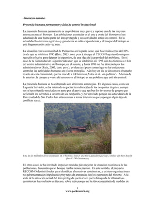 Amenazas actuales

Presencia humana permanente y falta de control institucional

La presencia humana permanente es un problema muy grave y supone una de las mayores
amenazas para el biotopo. Las poblaciones asentadas en el este y oeste del biotopo se han
adueñado de una buena parte del área protegida y sus actividades están sin control. En la
actualidad los terrenos agrícolas y ganaderos se están expandiendo y el bosque del biotopo se
está fragmentando cada vez más.

La situación con la comunidad de Puntarenas en la parte oeste, que ha crecido cerca del 30%
desde que se midió en 1993 (Ruiz, 2003, com. pers.), sin que el CECON haya tenido ninguna
reacción efectiva para detener la expansión, da una idea de la gravedad del problema. En el
caso de la comunidad de Lagunita Salvador, que se estableció en 1993 con dos familias a 1 km
del centro administrativo del biotopo, en el sureste, y hasta 1996 no fue detectada por los
administradores (Ruiz, 2003, com. pers.), evidencia el poco control que se ha tenido para
controlar las actividades humanas en el área protegida. Aún hoy en día se desconoce el tamaño
exacto de esta comunidad, que ha crecido a 24 familias (Anleu et al., sin publicar). Además de
lo anterior, la compra y venta de terrenos en el biotopo es un problema que está sin control.

La presencia humana se ha enfrentado con diferentes estrategias. En algunos casos, como en
Lagunita Salvador, se ha intentado negociar la reubicación de los ocupantes ilegales, aunque
no se han obtenido resultados en parte por el apoyo que reciben los invasores de grupos que
defienden los derechos a la tierra de los ocupantes, y por otro lado porque las autoridades de la
Universidad de San Carlos han sido remisas a tomar iniciativas que supongan algún tipo de
conflicto social.




Una de las múltiples áreas usurpadas en el biotopo. Esta es una finca ganadera que hay a orillas del Río Chocón
                                            (foto © PW-Guatemala)

En otros casos se ha intentado impulsar medidas para mejorar la situación económica de las
poblaciones, buscando que el bosque reciba menos presión. En este sentido, el proyecto
RECOSMO destinó fondos para identificar alternativas económicas, y existen organizaciones
no gubernamentales impulsando proyectos de artesanías con los ocupantes del biotopo. A la
vista de la situación actual del área protegida queda claro que la búsqueda de alternativas
económicas ha resultado un fracaso, sobre todo porque no ha ido acompañada de medidas de

                                                      8
                                           www.parkswatch.org
 