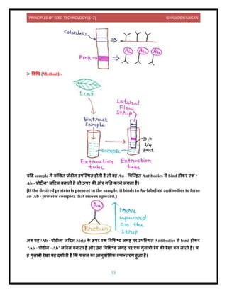 PRINCIPLES OF SEED TECHNOLOGY (1+2) ISHAN DEWANGAN
53
➢ विधध (Method):-
यदि sample में ि ंनछि प्रोटीि उपक्स्थि होिी है िो िह Au – धचक्न्हि Antibodies से bind होकर एक ‘
Ab – प्रोटीि’ जदटल बि िी है जो ऊपर की ओर गनि करिे लगि है।
(If the desired protein is present in the sample, it binds to Au-labelled antibodies to form
an 'Ab - protein' complex that moves upward.)
अब यह ‘Ab – प्रोटीि’ जदटल Strip क
े ऊपर एक विलशटट जगह पर उपक्स्थि Antibodies से bind होकर
‘Ab – प्रोटीि – Ab’ जदटल बि ि है और उस विलशटट जगह पर एक गुल बी रंग की रेख बि ज िी है। य
ह गुल बी रेख यह िश यिी है कक फसल क आिुि ंलशक रूप न्िरण हुआ है।
 