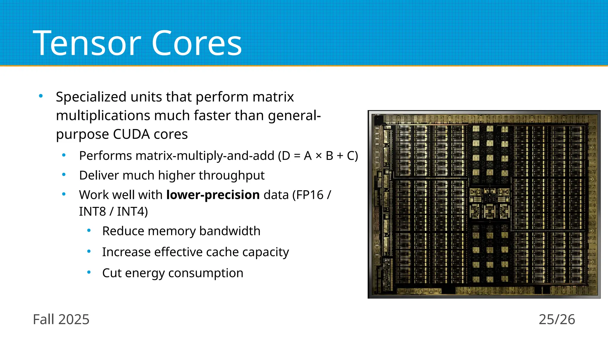 Fall 2025 25/26
Tensor Cores
●
Specialized units that perform matrix
multiplications much faster than general-
purpose CUDA cores
●
Performs matrix-multiply-and-add (D = A × B + C)
●
Deliver much higher throughput
●
Work well with lower-precision data (FP16 /
INT8 / INT4)
●
Reduce memory bandwidth
●
Increase effective cache capacity
●
Cut energy consumption
 