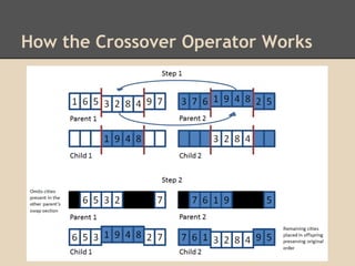 How the Crossover Operator Works
 