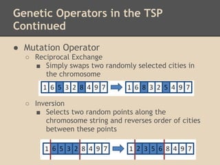 Genetic Operators in the TSP
Continued
● Mutation Operator
    ○ Reciprocal Exchange
      ■ Simply swaps two randomly selected cities in
         the chromosome
 
 
    ○ Inversion
       ■ Selects two random points along the
         chromosome string and reverses order of cities
         between these points
 