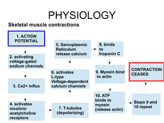 Myofascial Pain Syndrome | ODP