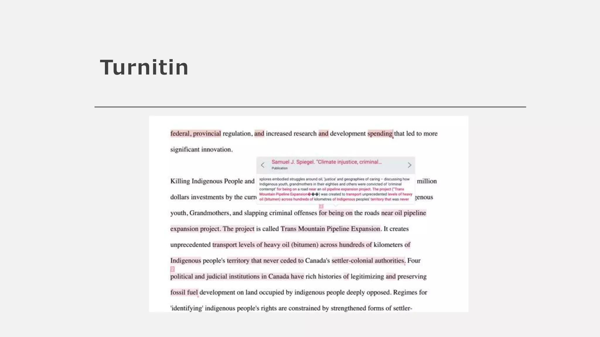 Turnitin
 