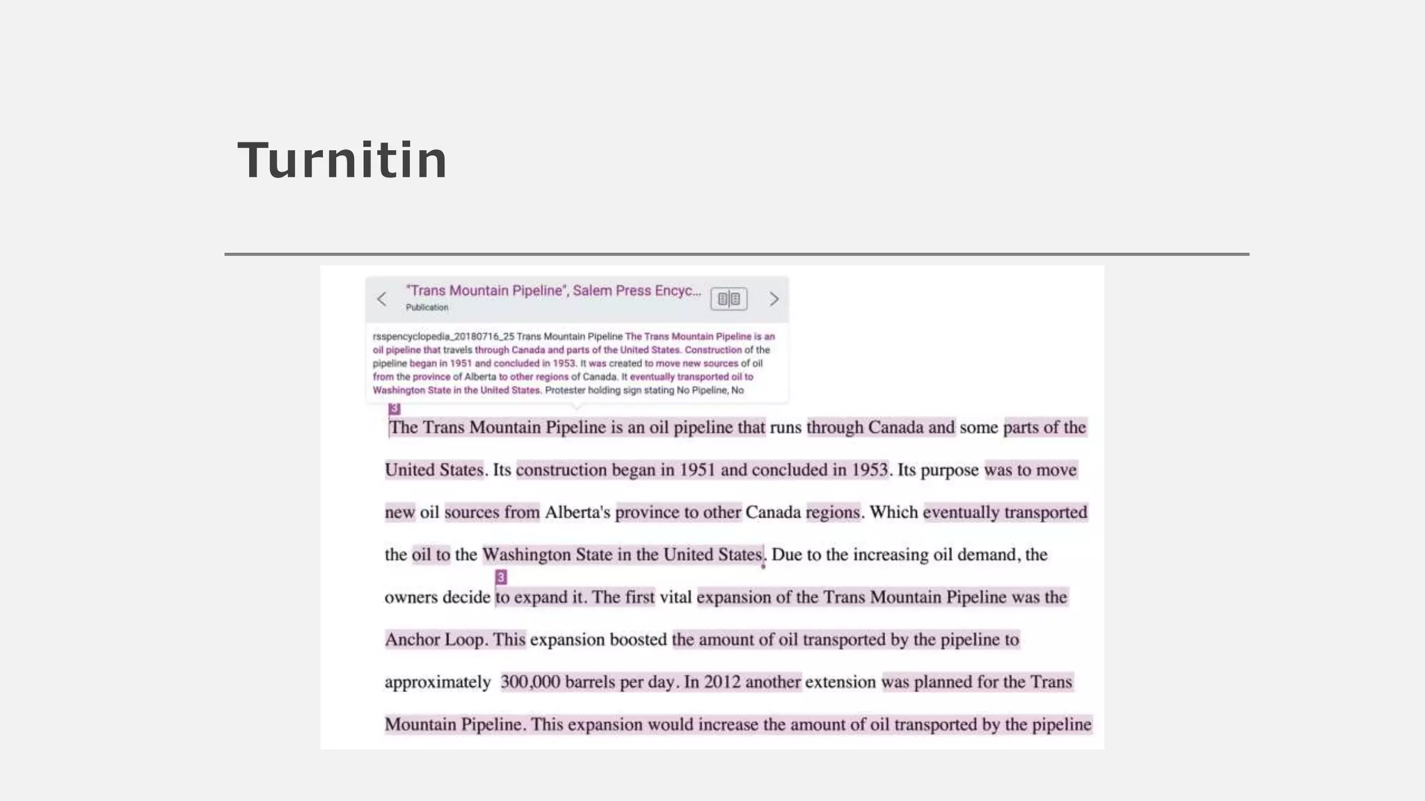 Turnitin
 
