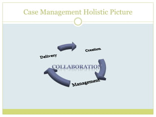 Case Management Holistic PictureCollaboration
