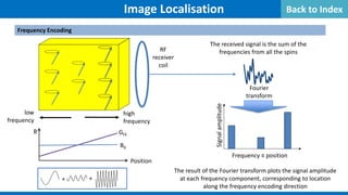 Image Localisation
The received signal is the sum of the
frequencies from all the spins
Frequency ≡ position
Signal
amplitude
GFE
B0
B
Position
Fourier
transform
RF
receiver
coil
low
frequency
high
frequency
Frequency Encoding
+ +
The result of the Fourier transform plots the signal amplitude
at each frequency component, corresponding to location
along the frequency encoding direction
Back to Index
 