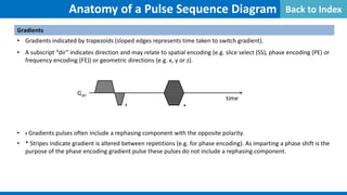 Gradients
• Gradients indicated by trapezoids (sloped edges represents time taken to switch gradient).
• A subscript “dir” indicates direction and may relate to spatial encoding (e.g. slice select (SS), phase encoding (PE) or
frequency encoding (FE)) or geometric directions (e.g. x, y or z).
• ᵻ Gradients pulses often include a rephasing component with the opposite polarity.
• * Stripes indicate gradient is altered between repetitions (e.g. for phase encoding). As imparting a phase shift is the
purpose of the phase encoding gradient pulse these pulses do not include a rephasing component.
Anatomy of a Pulse Sequence Diagram
time
Gdir
ᵻ *
Back to Index
 