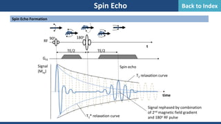 Spin Echo
Spin Echo Formation
Signal rephased by combination
of 2nd magnetic field gradient
and 180o RF pulse
Signal
(Mxy)
time
T2 relaxation curve
t
90o
Spin echo
TE/2
180o
TE/2
T2* relaxation curve
RF
GFE
Back to Index
 