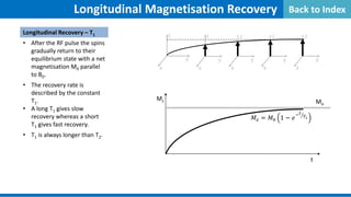 Mz Mo
Longitudinal Magnetisation Recovery
Longitudinal Recovery – T1
• After the RF pulse the spins
gradually return to their
equilibrium state with a net
magnetisation M0 parallel
to B0.
• The recovery rate is
described by the constant
T1.
• A long T1 gives slow
recovery whereas a short
T1 gives fast recovery.
• T1 is always longer than T2.
y
z
x
y
z
x
y
z
x
y
z
x
y
z
x
t
𝑀𝑀𝑧𝑧 = 𝑀𝑀0 1 − 𝑒𝑒
−𝑡𝑡
𝑇𝑇1
�
Back to Index
 